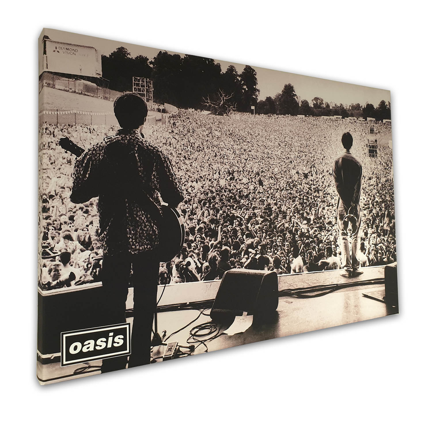 Oasis Canvas 20×30 inches - To Designs