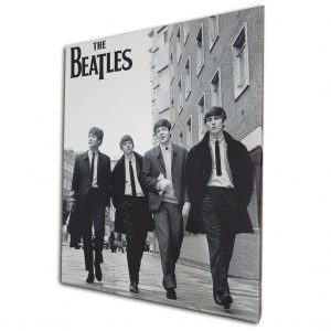 The Beatles 20x16 inches